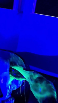 UV Fisting