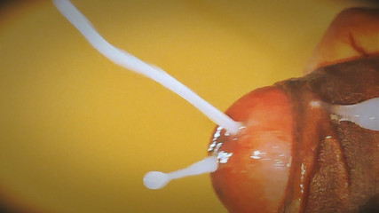 Sex art straight: Kdo všichni to chtějí hluboko ve své vagíně? Komentujte rychle