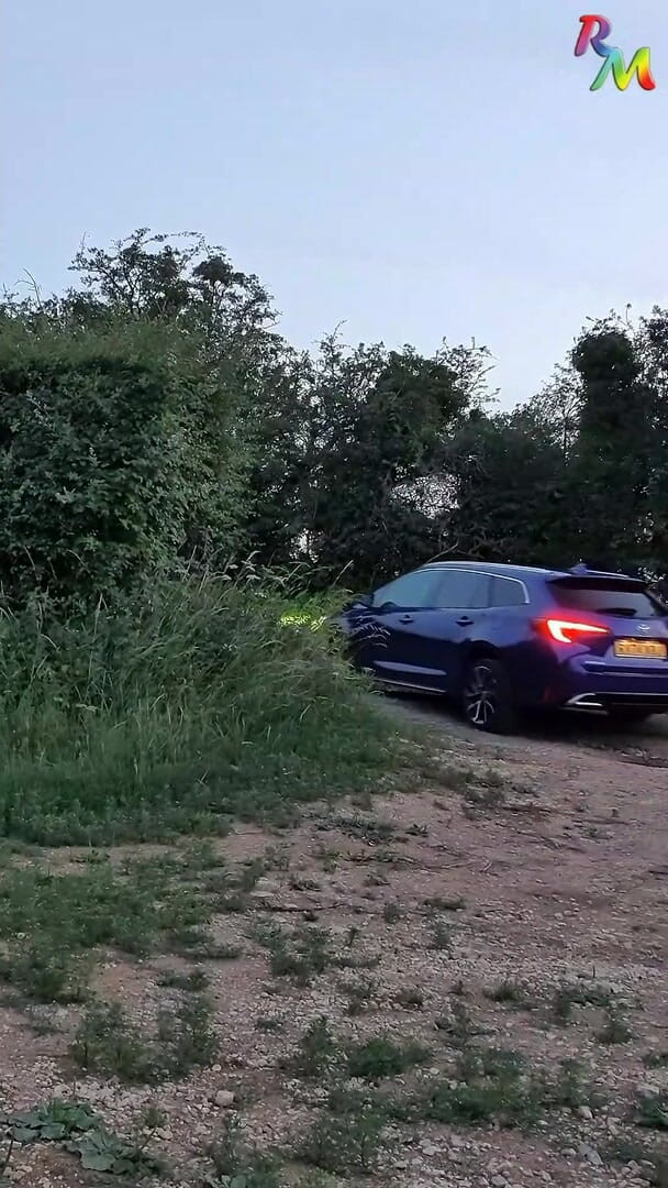 RainbowAdventures: Got Horny, Stopped Car, Naked Walk, Wank at Rear of...