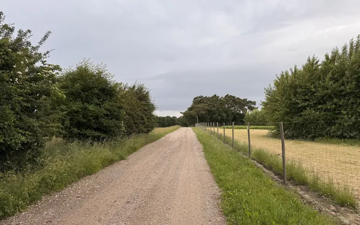 Qualzucht: Summer Vacation 2025, Video Diary Part 1