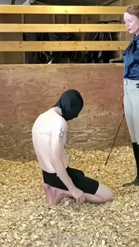 Sadistic Stables Sack Smashing Extreme Ballbusting and Cropping Punishment