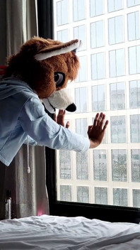 Bareback Femboy Furry Fursuit Fuck in Front of Window