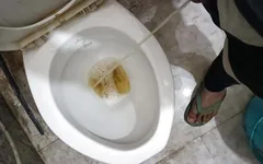 स्पष्ट ऑडियो के साथ शौचालय में पेशाब करना जब कोई जल्द ही वापसी के लिए कह रहा है