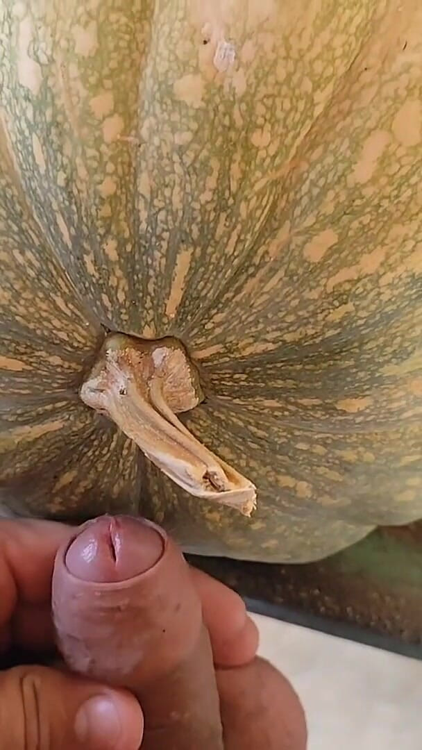 Hungry Dick Among Pumpkins for Halloween. (Straight Daddy Club) Hungry Dick Among Pumpkins for Halloween. (Straight Daddy Club)