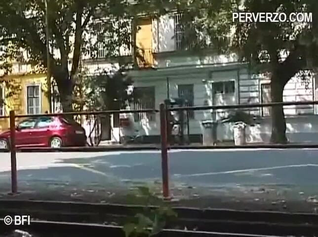 Pissing Girls: Вінтажна сеча на відкритому повітрі - DVD