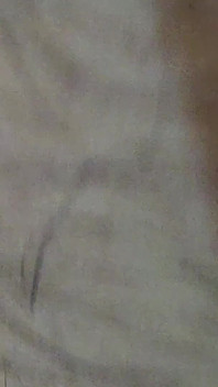 Sborro per te