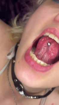 Mouth Tour