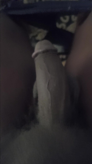 JB_De_Prince: ČERNÝ PTÁK