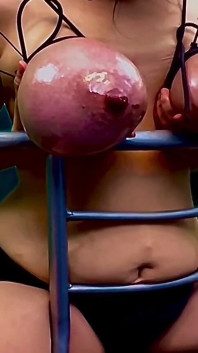 Enorme Hucow Udders amarrada e chicoteada