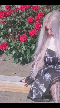 What Types of Flowers Do You Particularly Like?