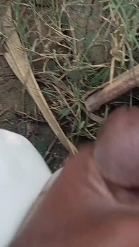 Desi Mahol