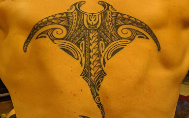 Colin Jones: Anal dildo penetrasyon. Küçük, orta, büyük, ekstra büyük dildolar