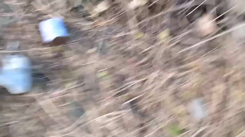 Ritu: Ritu przyszedł do swojego starszego przyrodniego siostry, spacerując po polach