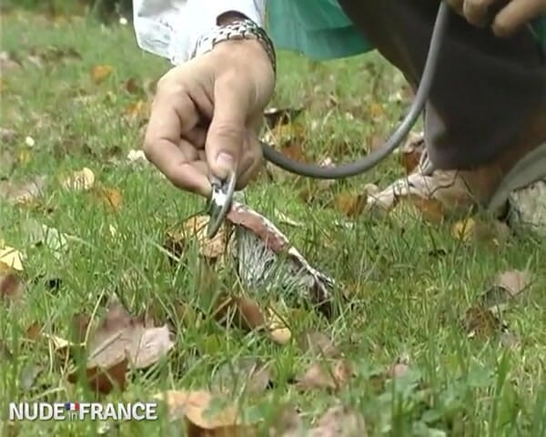 La France a Poil: Bukankah itu jururawat cantik mengambil kesempatan daripada statusnya?