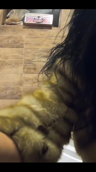 밀피칼라 모음집 - 페티쉬 섹스, 블로우 잡스, 동구 재킷과 퍼 X16i 내 비디오 모음집 준비 했습니다.