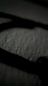 Trailer 376