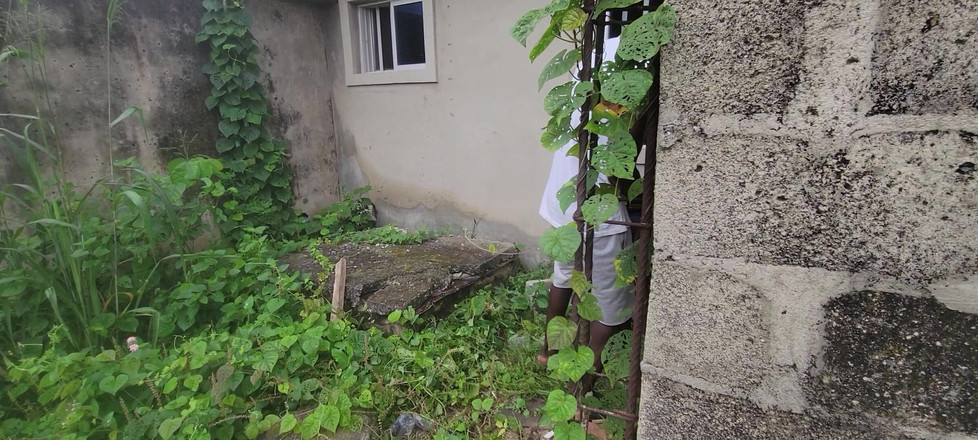 Switcock: Od čištění po šukání