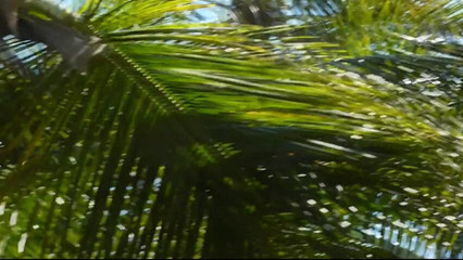 Watch4beauty: Piscina annoiata