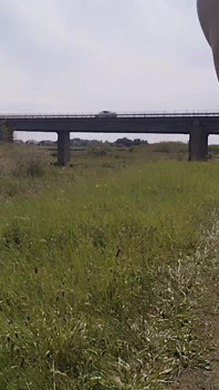 Naakt bij de brug