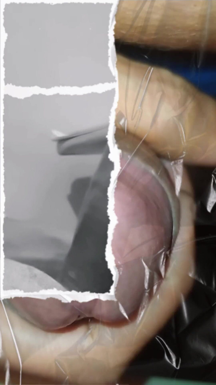 Naughty Cock: 다른 각도에서 친밀한 순간과 크고 두껍고 탐욕스러운 자지의 맛있는 사정 모음집