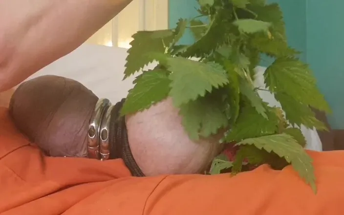 Monster_Meat_: Nettles Are Much Hotter Then Electro Toys