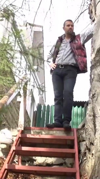 Anal sex in nature