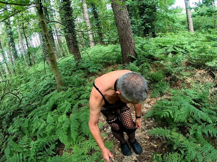 Andy: Plimbare 31 2025