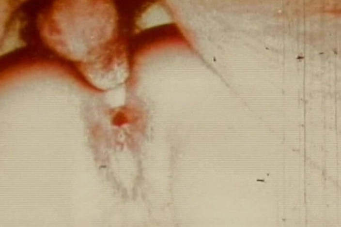 Japan Babe: Sépia vintage anal loop com close-up retro backdoor worship