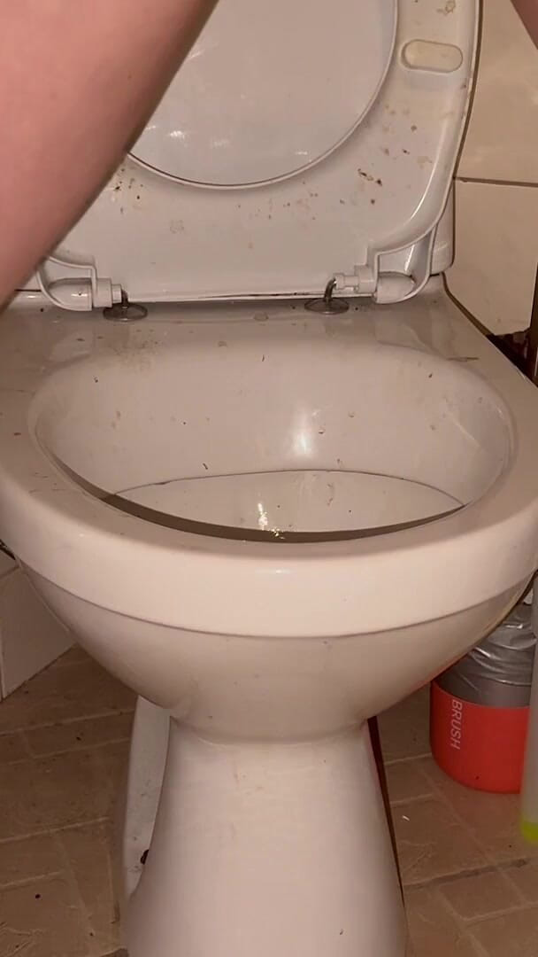 Elena917: 汚れた床やトイレを舐め、頭をちらつかせて