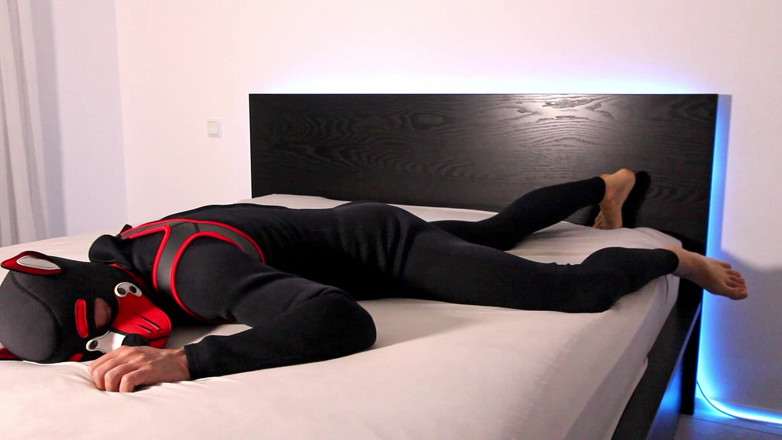 Feti1308: Nadržený neoprene štěně skáčou a škádlí se