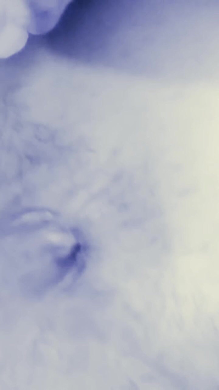 Chicken69: Immaginare