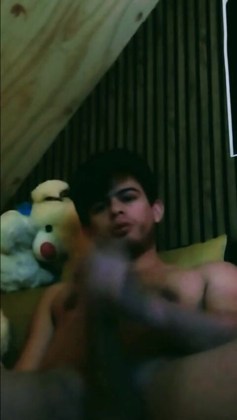Soy Bruno: Um pouco do que você pode ver no perfil