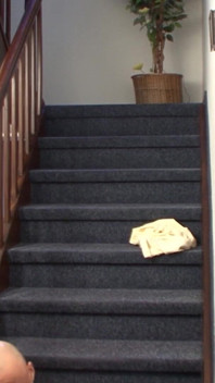 Watch Thow This German Slut Got Hardcore Fuck at Staircase