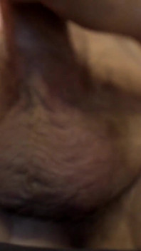 Haariger Bär Massiert Seine Fettem Bulleneier, Kein Cum