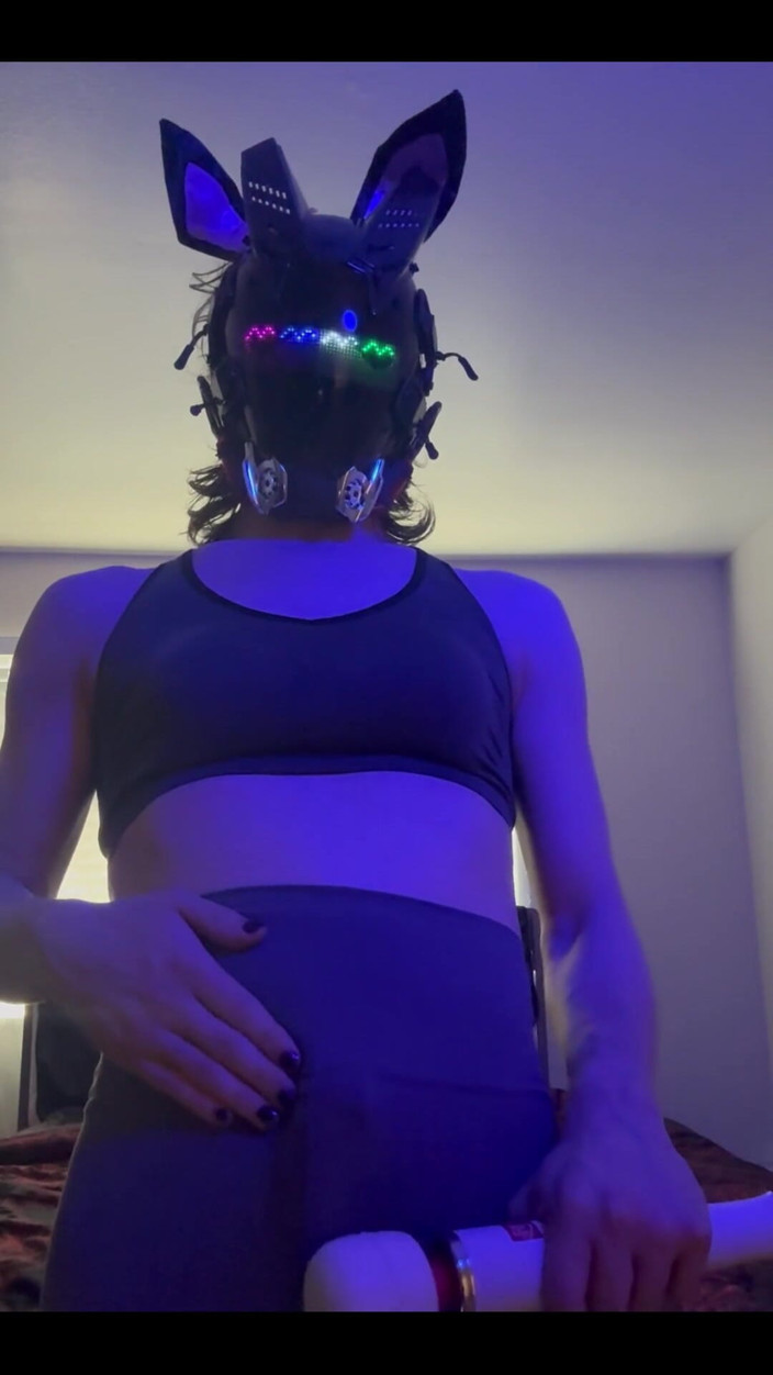 Bunny Willow: I was going to go work out