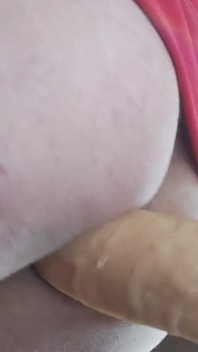 Sexuální anál