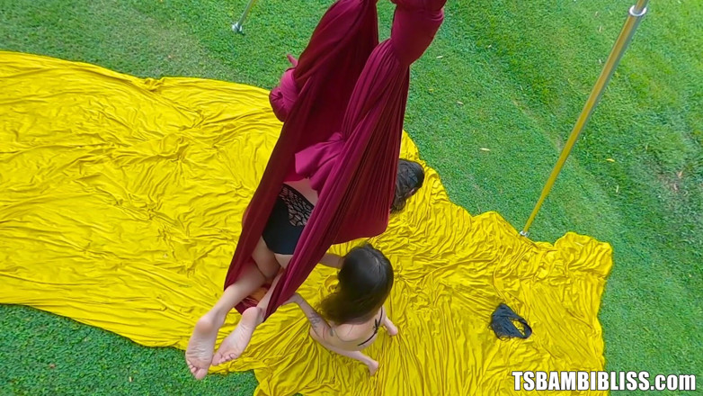 TransErotica: Fucking on the Swing