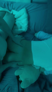 Anal, Screaming During Orgasm