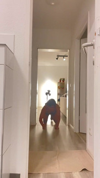 Cachorro travieso, bebiendo y moviendo mi cola