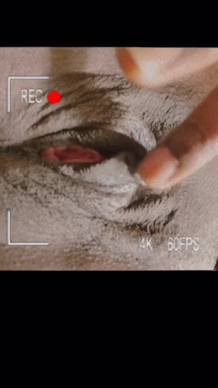 Mz Markqunna: Istimewa Markqunna