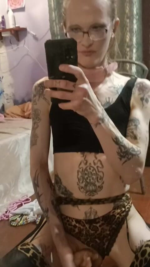 Rainbowdracat: Mein kleines dildospiel