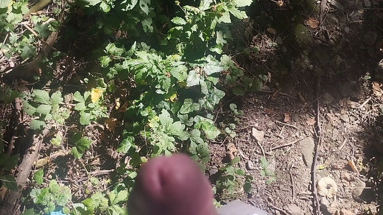 Bayer911: 바이엘 파트 153