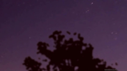 Lollipop Twinks: Max sa come lavorare un palo