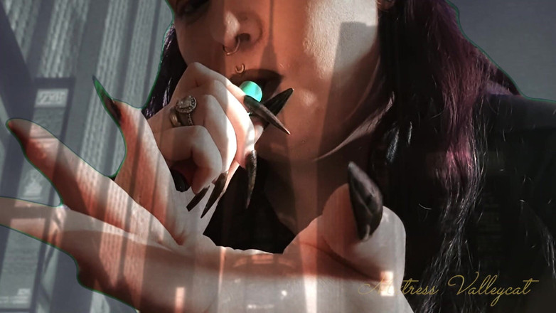 Mxtress Valleycat: Holografické obryně