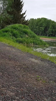 La giornata degli uomini in modo diverso: una passeggiata speciale