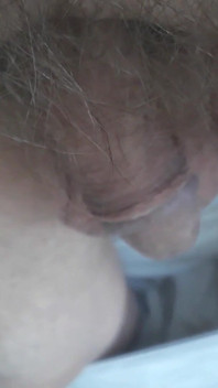 Dick Werner
