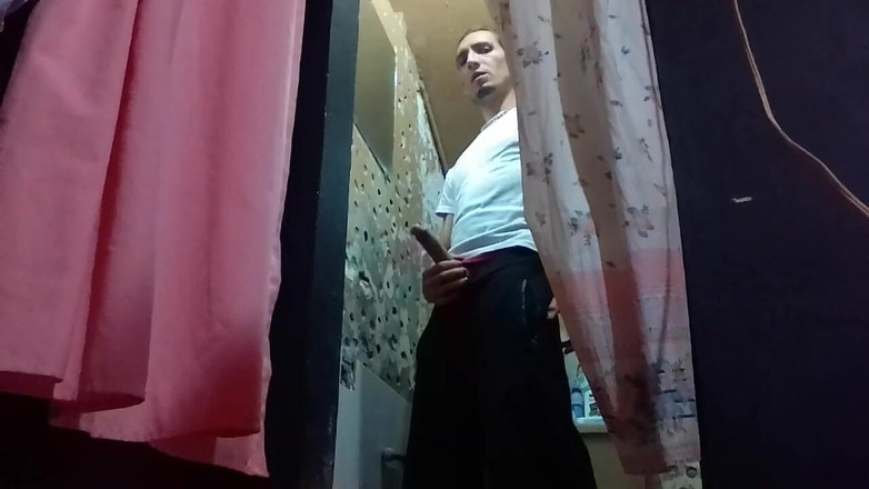 Raba erre elle: Raba Fortuna: typ vany 1144