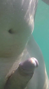 Masturbação no mar