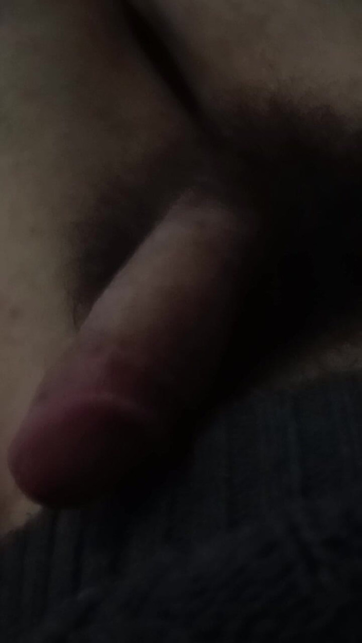 Elvisz eqiraj: Cel mai bun băiat porno