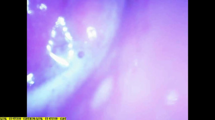 Jap Porn Project: Asyalı melek 26176